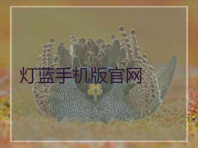 灯蓝手机版官网